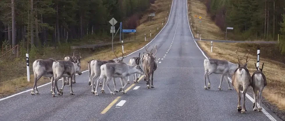 Parhaat vuokramökit Rovaniemi